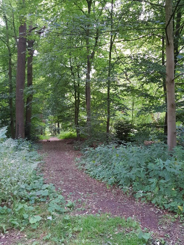 28 september in de natuur schilderen