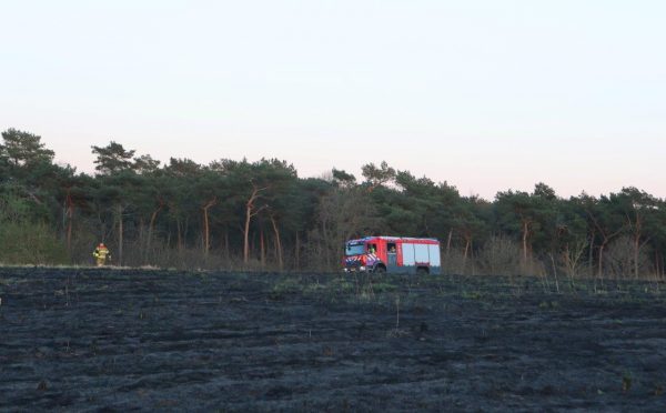 Heidebrand Rosmalen 3