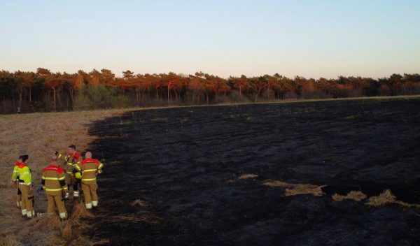 Heidebrand Rosmalen 4