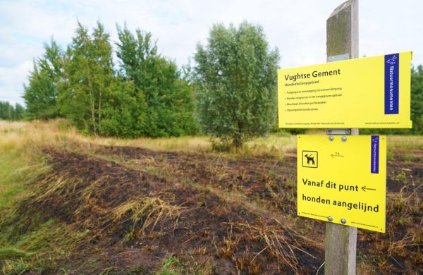 2025-07-13_Meesters_Multi_Media_Foto`s_Bermbrand_Gementweg_Vught1