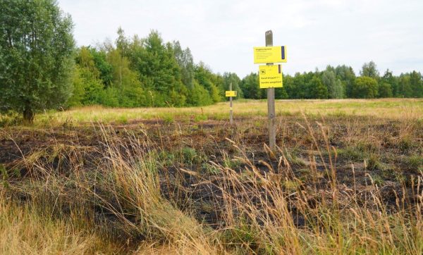 2025-07-13_Meesters_Multi_Media_Foto`s_Bermbrand_Gementweg_Vught4