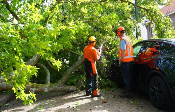 2025-08-04_Meesters_Multi_Media_Foto`s_Grote_Tak_Breekt_Uit_Boom_En_Valt_Op_Auto`s_Molhuysensingel_Vught1