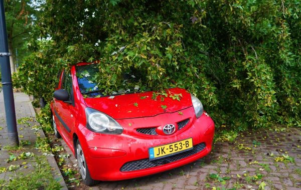 2025-08-04_Meesters_Multi_Media_Foto`s_Grote_Tak_Breekt_Uit_Boom_En_Valt_Op_Auto`s_Molhuysensingel_Vught6