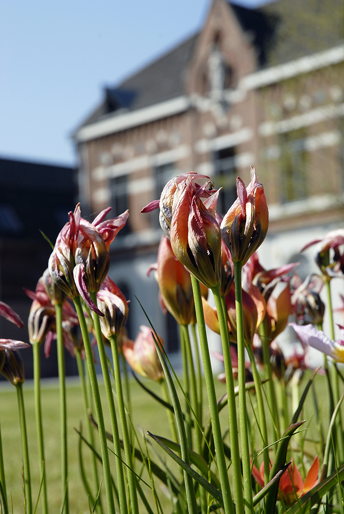 Landgoed ZIN (1)