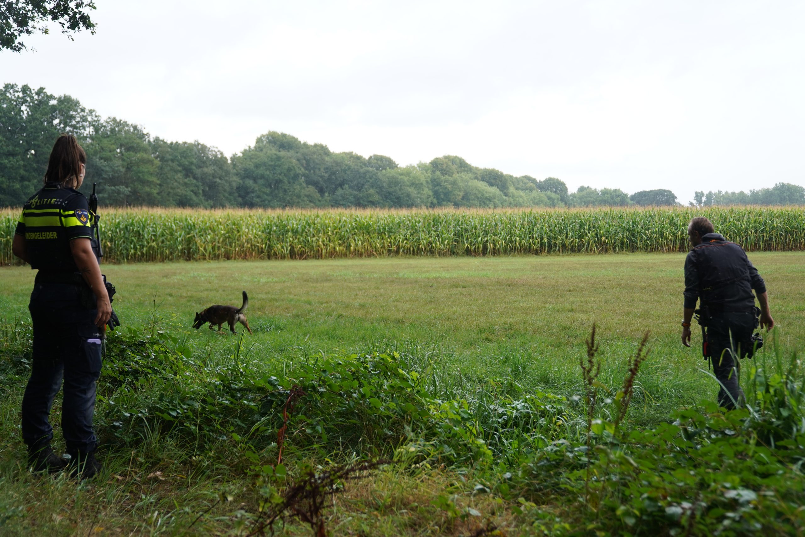 2 zoekactie 19aug26 b64132c8-06d7-4985-a7e8-74519971caf2.jpeg