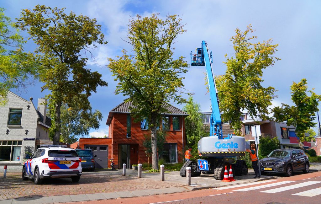 Man springt twaalf meter naar beneden na aanval door Aziatische hoornaars
