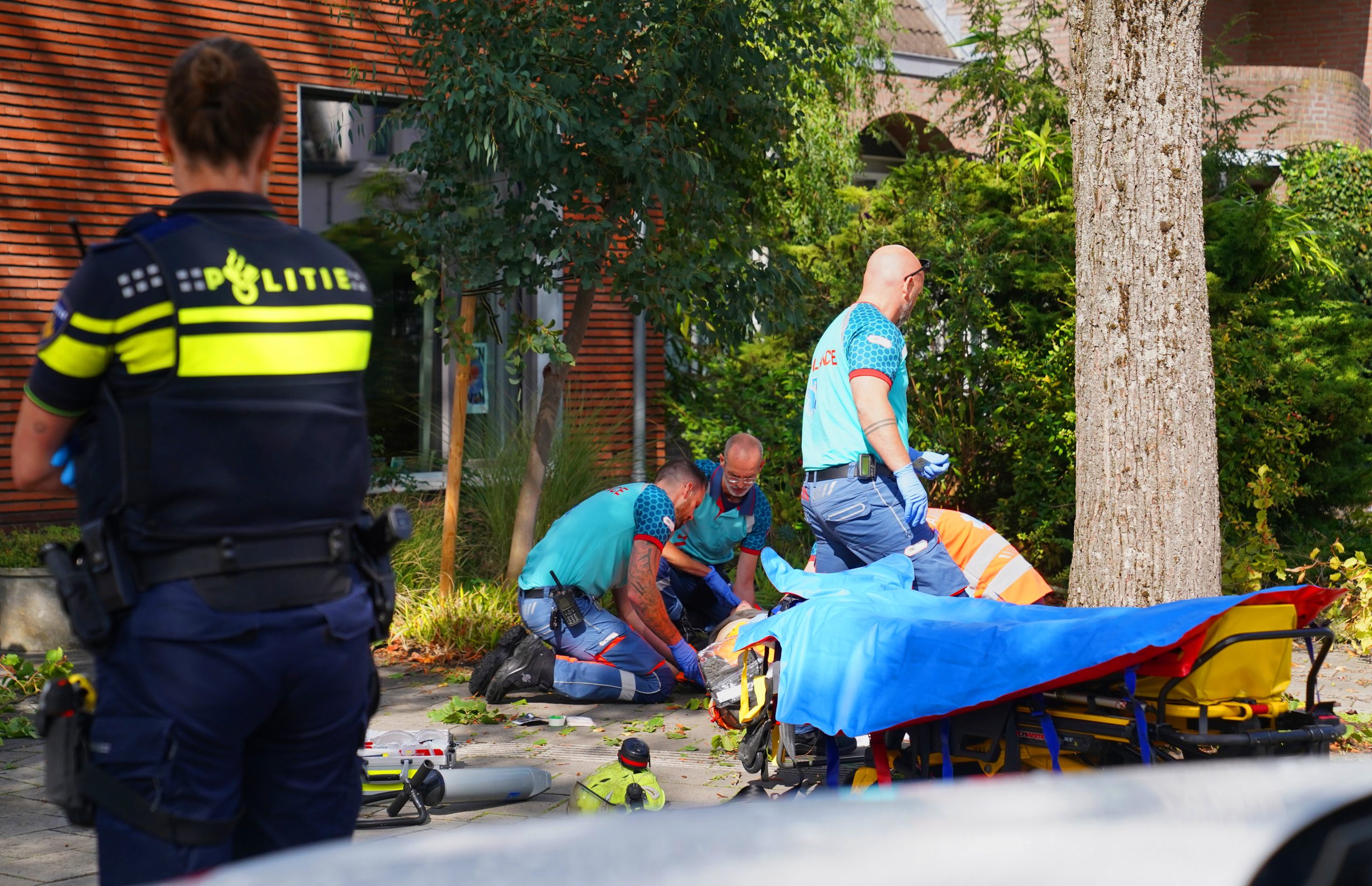 Aziatische hoornaars Vught 16sep26 BartM (4)