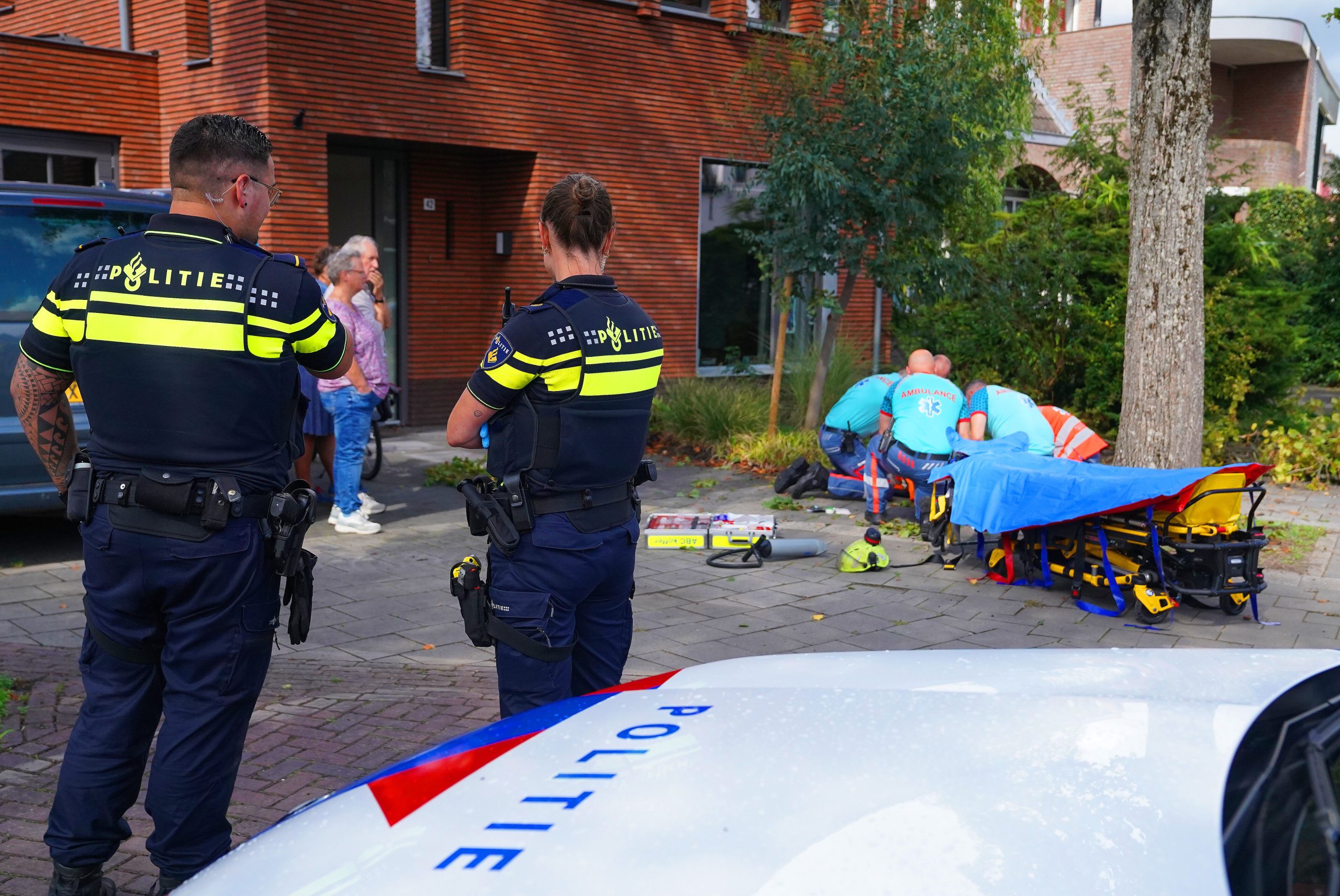 Aziatische hoornaars Vught 16sep26 BartM (7)
