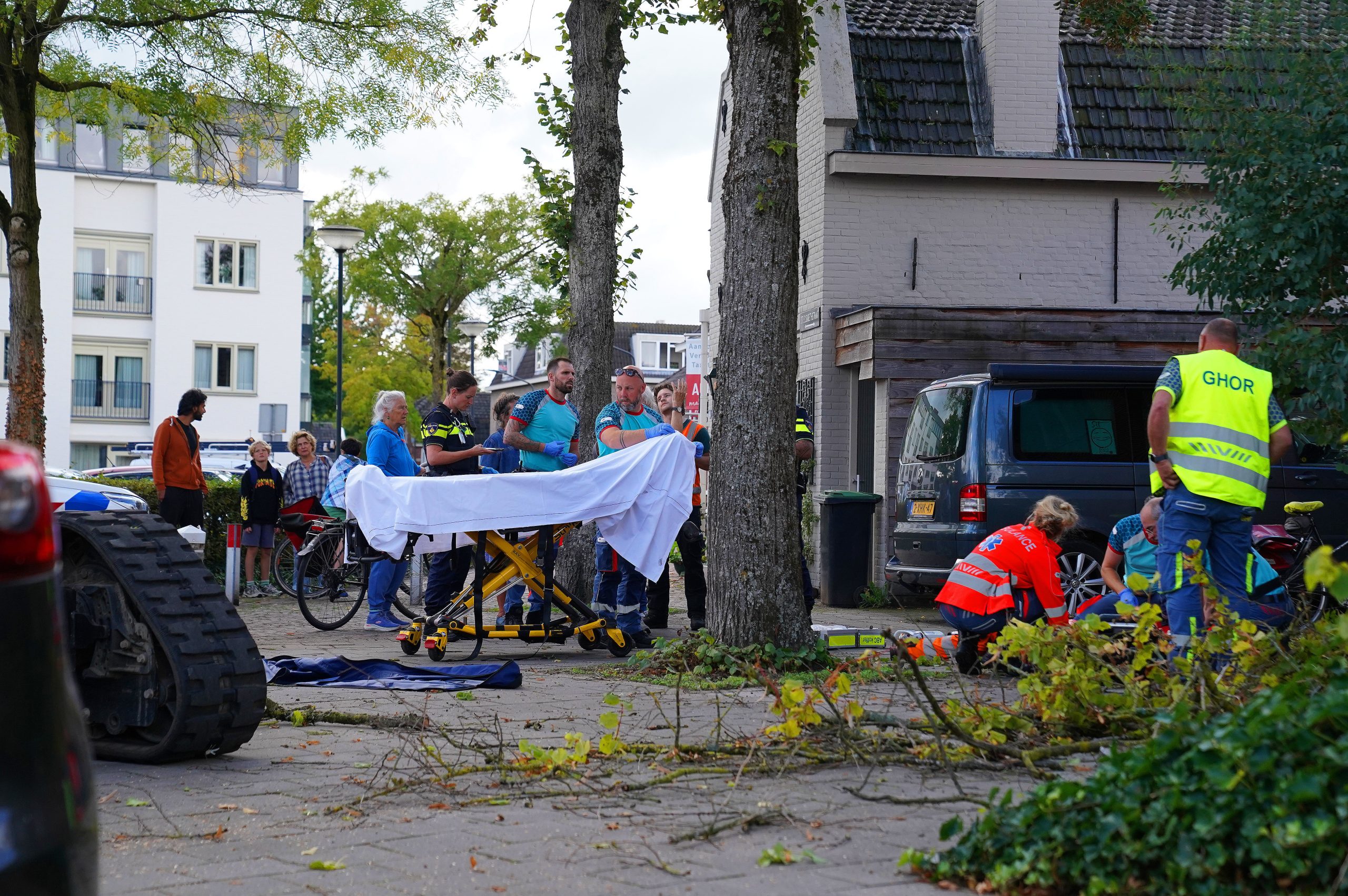 Aziatische hoornaars Vught 16sep26 BartM (8)