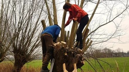 IVN Vught knotten 9okt26
